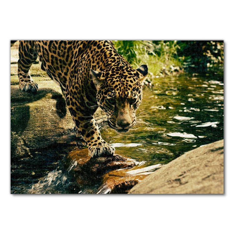 Produktbild: Lais Puzzle Leopard 1000 Teile