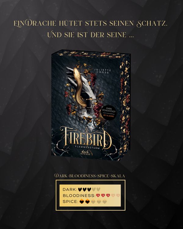 Produktbild: Flammensturm (Band 1) - Firebird