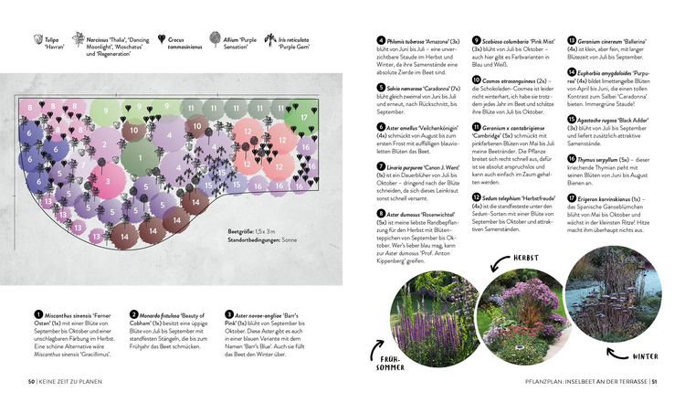 Produktbild: Keine Zeit zu g&auml;rtnern &ndash; Blumenparadies mit wenig Aufwand
