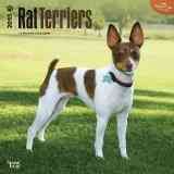 Produktbild: Rat Terriers 2015 Calendar