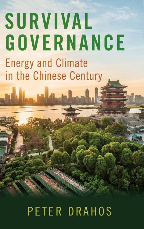 Produktbild: Survival Governance