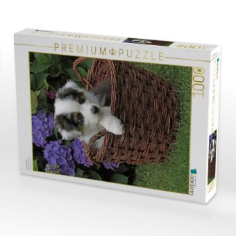 Produktbild: CALVENDO Puzzle Aussie-Welpe 1000 Teile Puzzle hoch | 1000 Teile Lege-Gr&ouml;&szlig;e 64 &times; 48 cm Foto-Puzzle f&uuml;r gl&uuml;ckliche Stunden