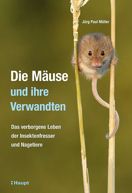 Produktbild: Die M&auml;use und ihre Verwandten