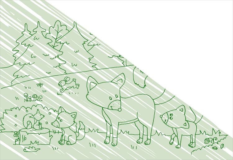 Produktbild: Zaubermalbuch. Tierkinder