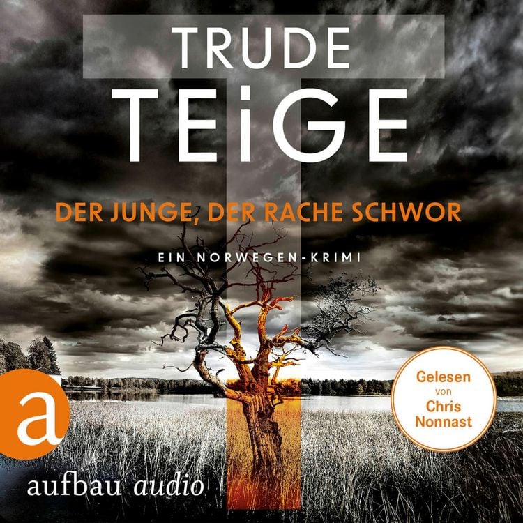 Produktbild: Der Junge, der Rache schwor
