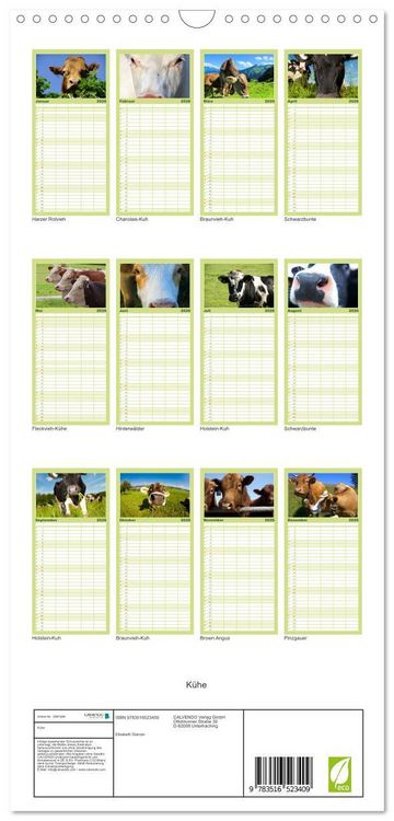 Produktbild: Familienplaner 2026 - K&uuml;he mit 5 Spalten (Wandkalender, 21 x 45 cm) CALVENDO