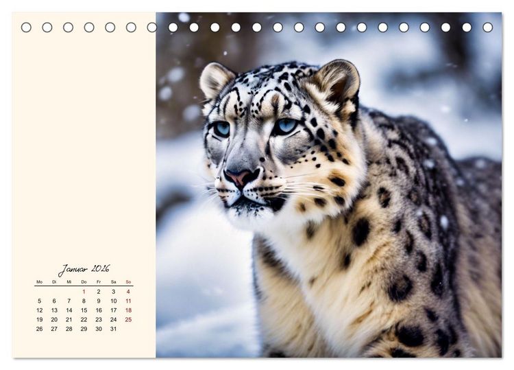 Produktbild: Im Reich der Schneeleoparden (Tischkalender 2026 DIN A5 quer), CALVENDO Monatskalender
