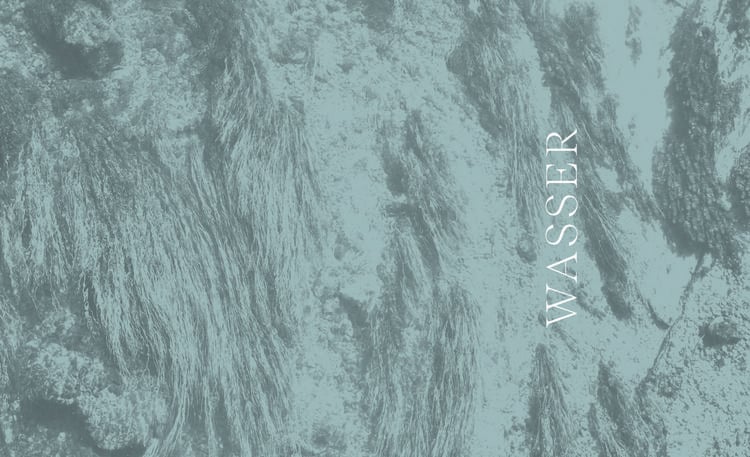 Produktbild: Wilder Wald