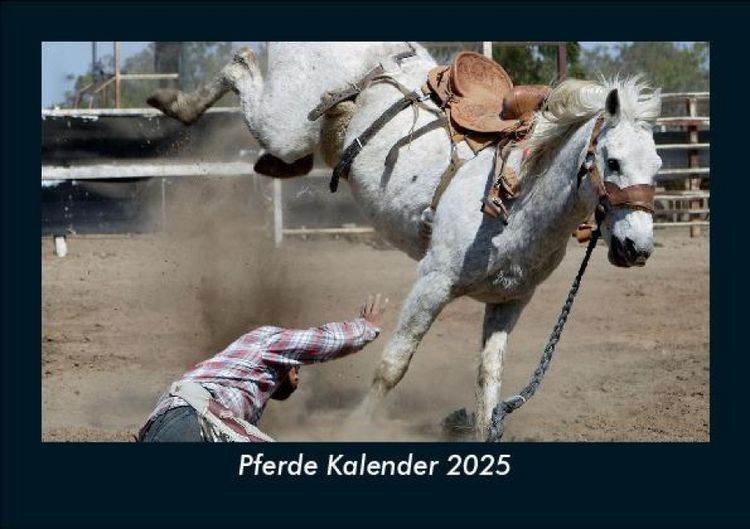 Produktbild: Pferde Kalender 2025 Fotokalender DIN A5