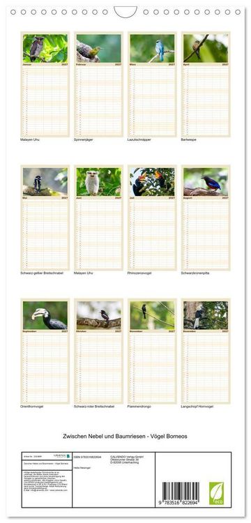 Produktbild: Familienplaner 2027 - Zwischen Nebel und Baumriesen - V&ouml;gel Borneos mit 5 Spalten (Wandkalender, 21 x 45 cm) CALVENDO
