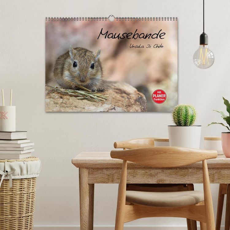 Produktbild: Mausebande (Wandkalender 2026 DIN A3 quer), CALVENDO Monatskalender