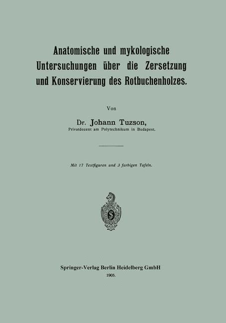 Produktbild: Anatomische und mykologische Untersuchungen &uuml;ber die Zersetzung und Konservierung des Rotbuchenholzes