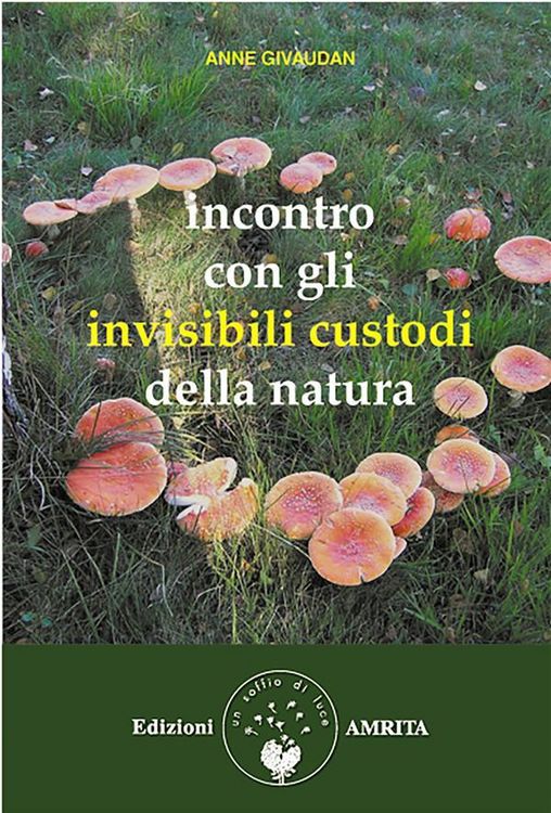 Produktbild: Incontro con gli invisibili custodi della natura