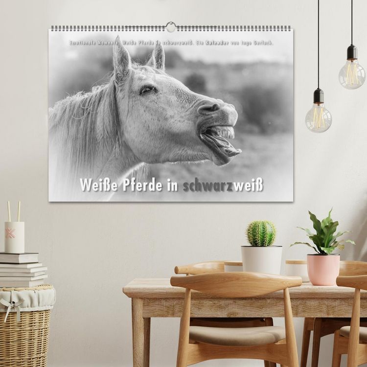Produktbild: Emotionale Momente: Wei&szlig;e Pferde in schwarzwei&szlig;. (Wandkalender 2026 DIN A2 quer), CALVENDO Monatskalender