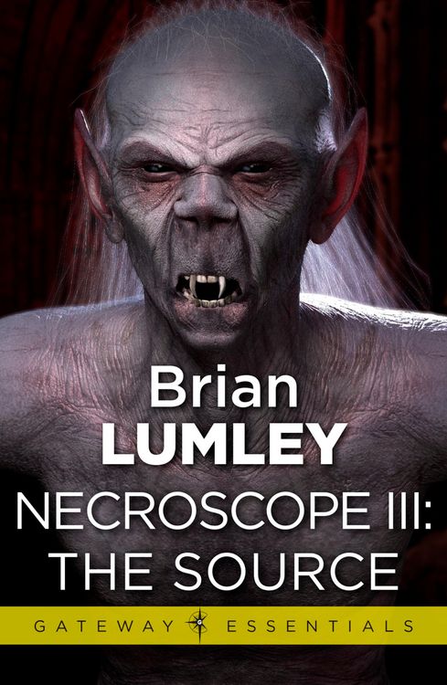Produktbild: Necroscope III: The Source