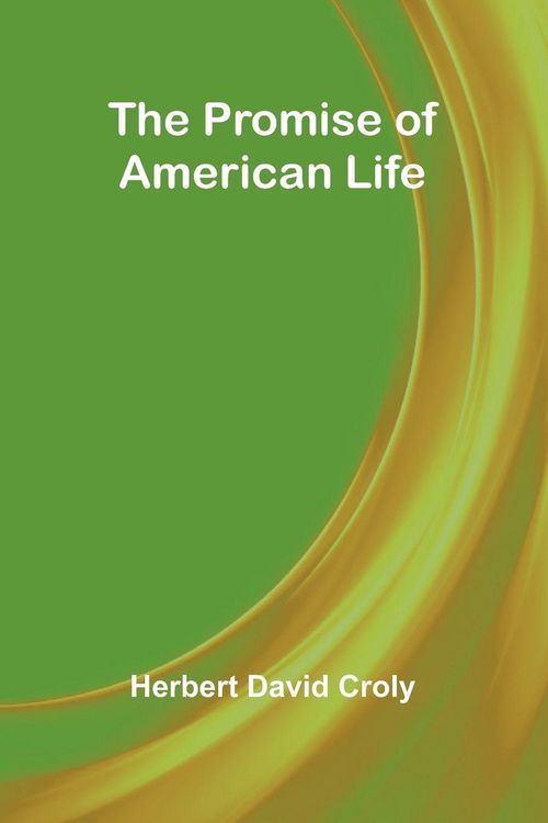Produktbild: The Promise of American Life