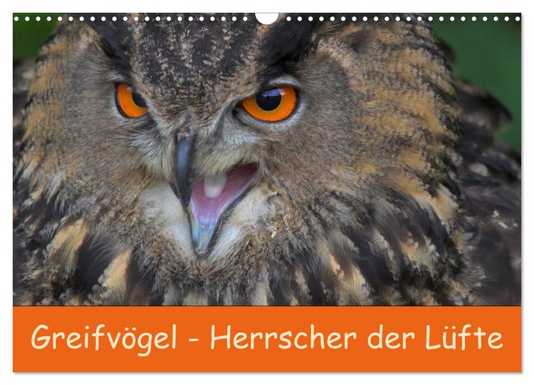 Produktbild: Greifv&ouml;gel - Herrscher der L&uuml;fte (Wandkalender 2026 DIN A3 quer), CALVENDO Monatskalender