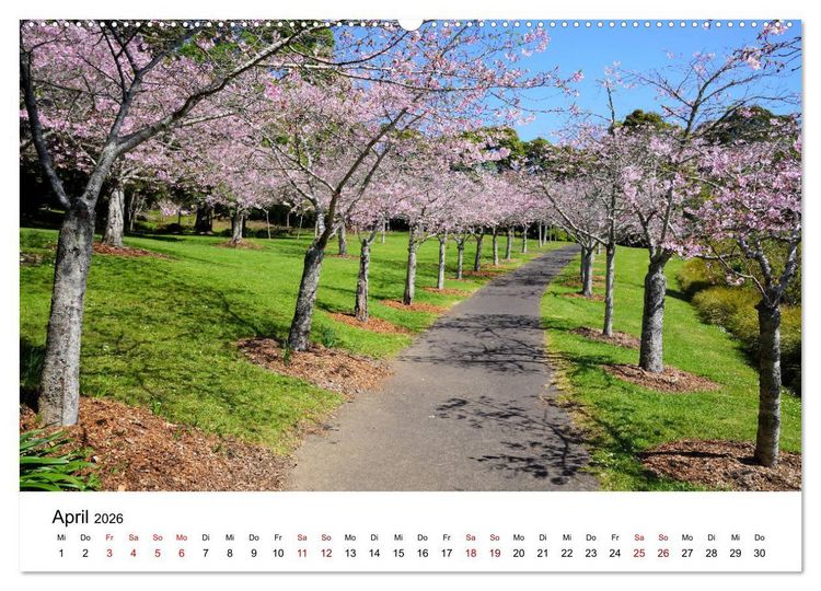 Produktbild: Auckland und Umgebung 2026 (hochwertiger Premium Wandkalender 2026 DIN A2 quer), Kunstdruck in Hochglanz