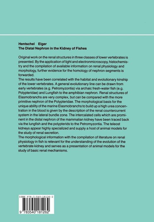 Produktbild: The Distal Nephron in the Kidney of Fishes