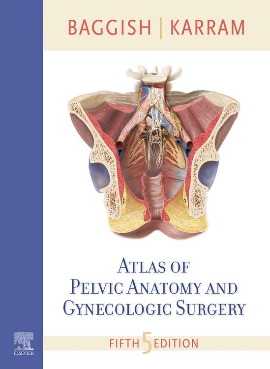 Produktbild: Atlas of Pelvic Anatomy and Gynecologic Surgery E-Book