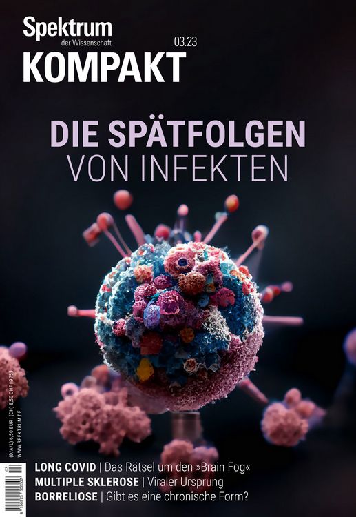 Produktbild: Spektrum Kompakt - Die Sp&auml;tfolgen von Infekten