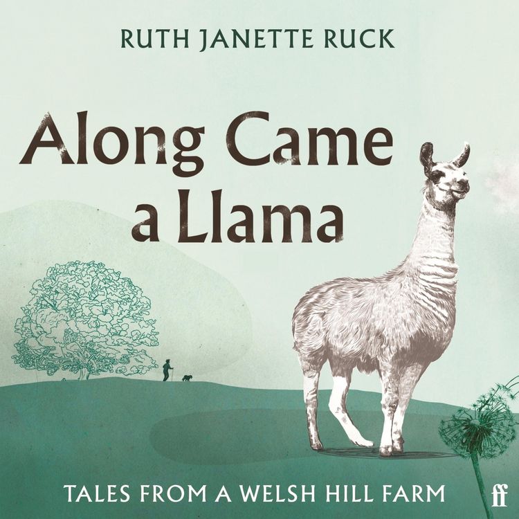 Produktbild: Along Came a Llama