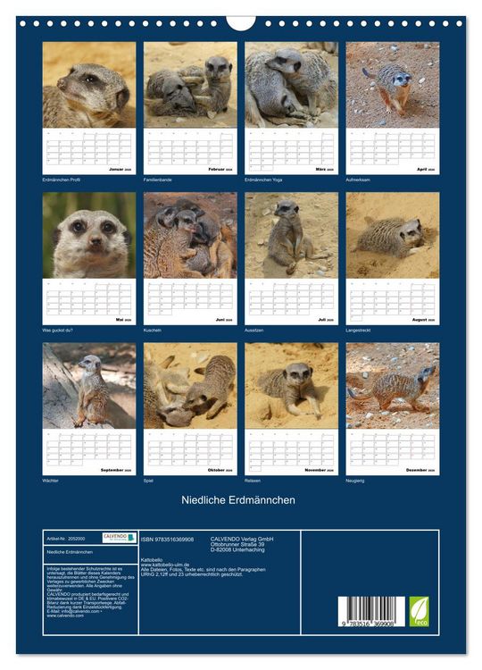 Produktbild: Niedliche Erdm&auml;nnchen (Wandkalender 2026 DIN A3 hoch), CALVENDO Monatskalender