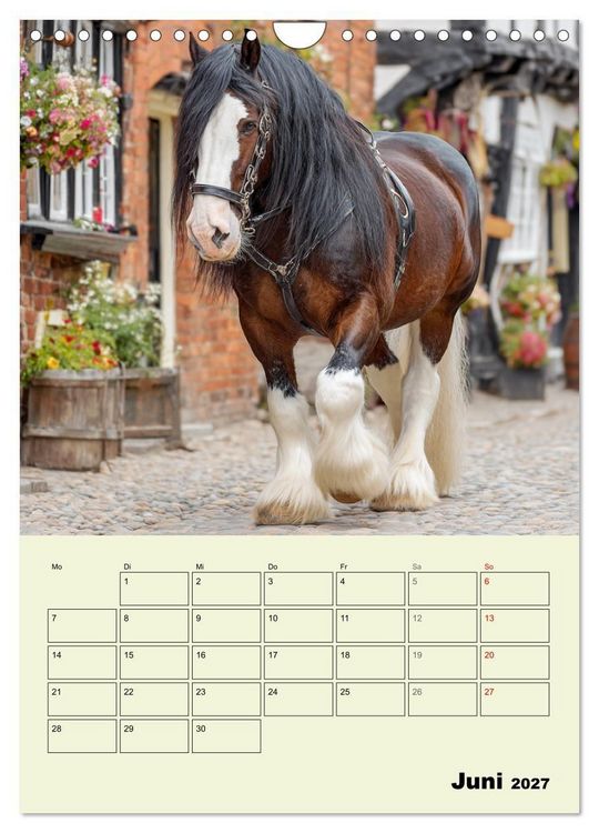 Produktbild: Shire Horse Magie. Englands sanfte Giganten (Wandkalender 2027 DIN A4 hoch), CALVENDO Monatskalender