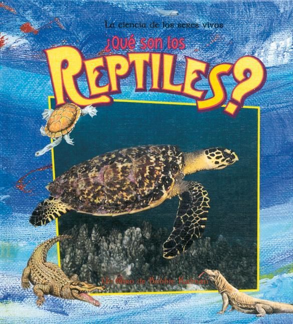 Produktbild: &iquest;Qu&eacute; Son Los Reptiles? (What Is a Reptile?)