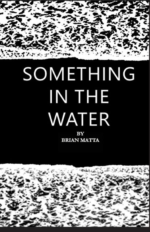 Produktbild: Something in the Water