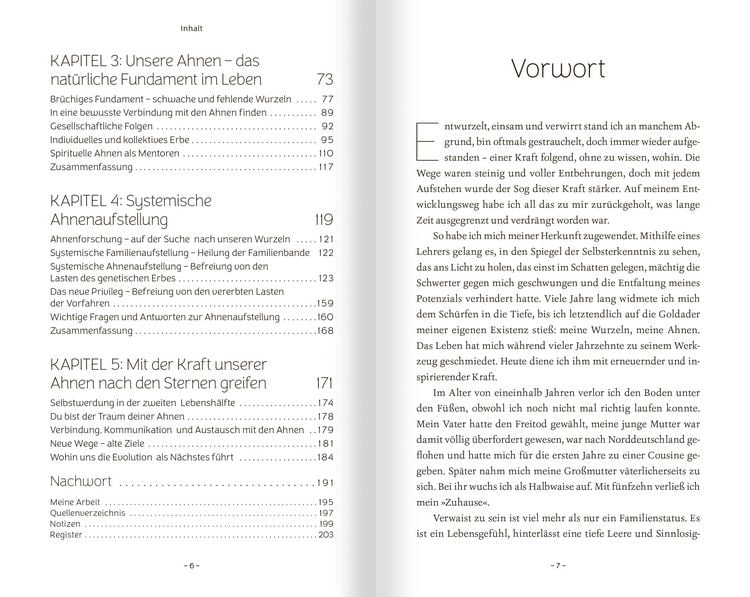 Produktbild: Schamanische Ahnenarbeit