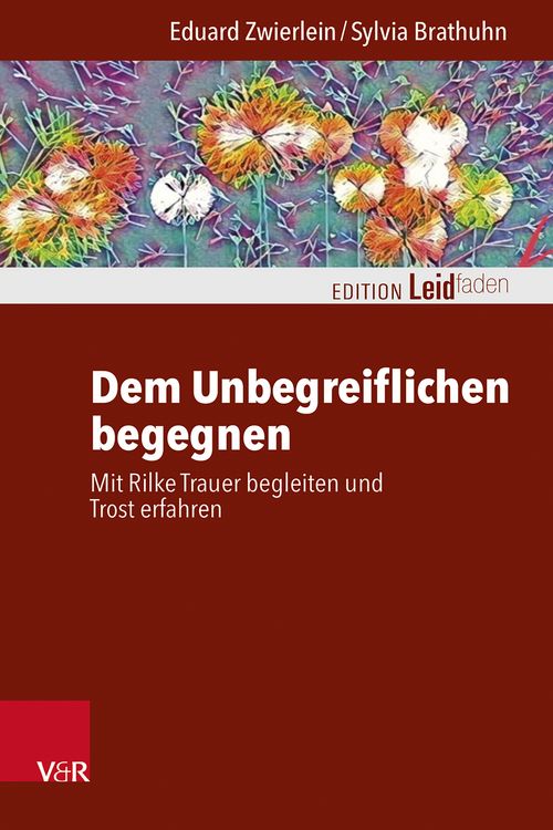 Produktbild: Dem Unbegreiflichen begegnen