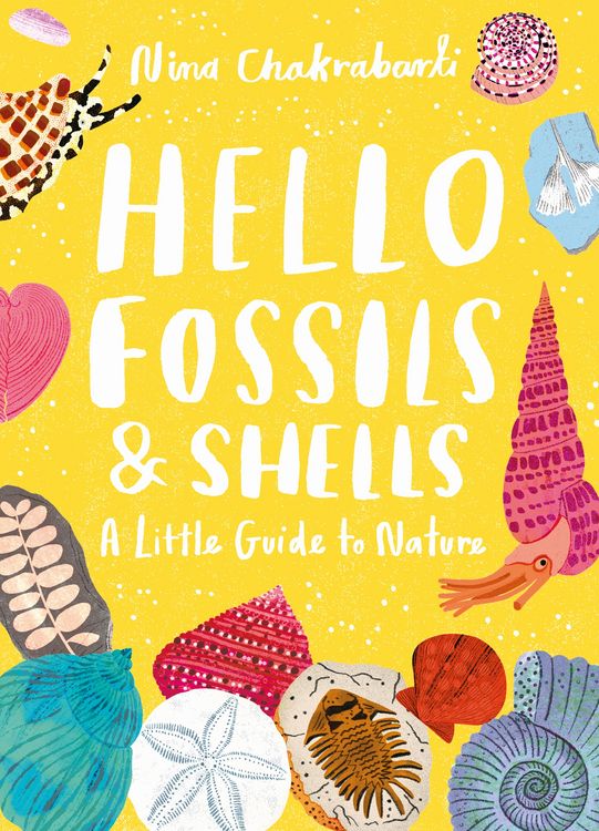 Produktbild: Hello Fossils & Shells
