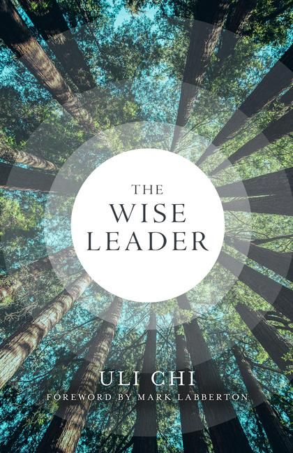 Produktbild: The Wise Leader