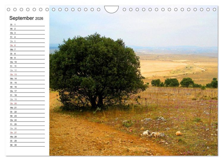 Produktbild: Jakobsweg - Camino Frances (Wandkalender 2026 DIN A4 quer), CALVENDO Monatskalender
