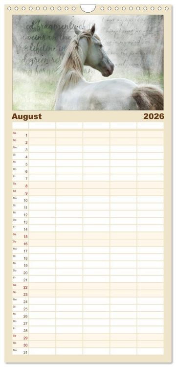 Produktbild: Familienplaner 2026 - Pferde zum Tr&auml;umen mit 5 Spalten (Wandkalender, 21 x 45 cm) CALVENDO