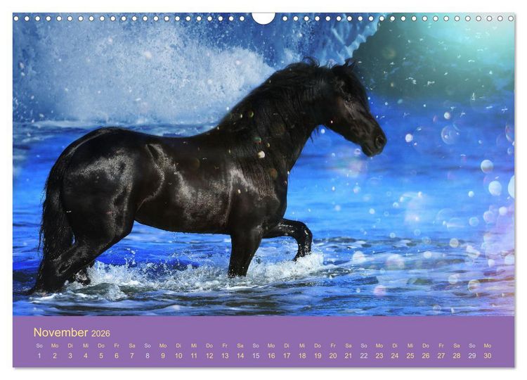 Produktbild: Von der Magie der Pferde (Wandkalender 2026 DIN A3 quer), CALVENDO Monatskalender