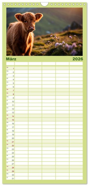 Produktbild: Familienplaner 2026 - Highland K&uuml;he mit 5 Spalten (Wandkalender, 21 x 45 cm) CALVENDO