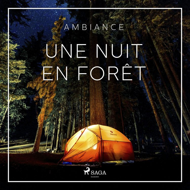 Produktbild: Une nuit en for&ecirc;t