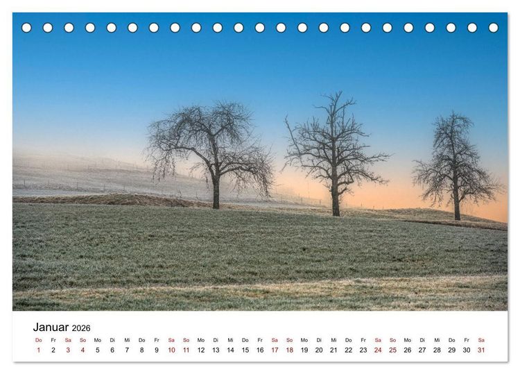 Produktbild: B&auml;ume - Wunder der Natur (Tischkalender 2026 DIN A5 quer), CALVENDO Monatskalender