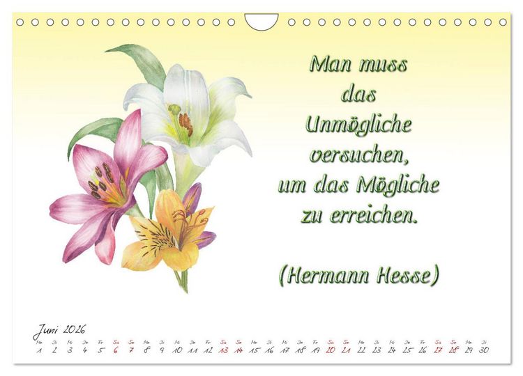 Produktbild: 12 unterhaltsame Zitate f&uuml;r ein sch&ouml;nes Jahr (Wandkalender 2026 DIN A4 quer), CALVENDO Monatskalender