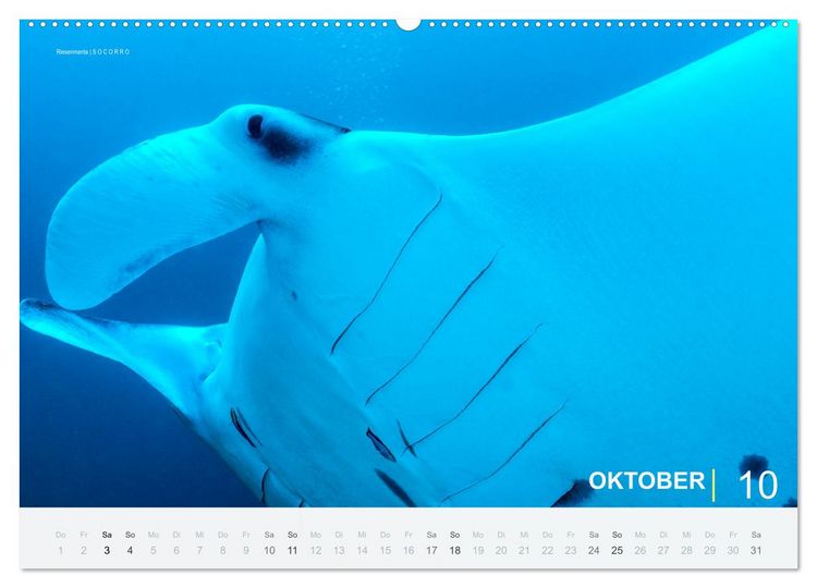 Produktbild: Einfach Tauchen - Wunderbare Tauchpl&auml;tze und Korallenriffe (Wandkalender 2026 DIN A2 quer), CALVENDO Monatskalender