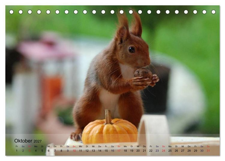 Produktbild: Spa&szlig; mit Eichh&ouml;rnchen! (Tischkalender 2027 DIN A5 quer), CALVENDO Monatskalender