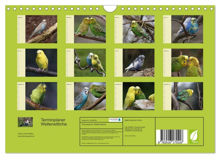 Produktbild: Terminplaner Wellensittiche (Wandkalender 2026 DIN A4 quer), CALVENDO Monatskalender