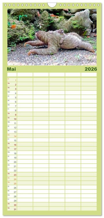 Produktbild: Familienplaner 2026 - Abh&auml;ngen - Faultier mit 5 Spalten (Wandkalender, 21 x 45 cm) CALVENDO