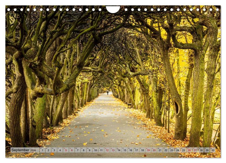 Produktbild: Dreistadt - Danzig, Gdingen, Zoppot (Wandkalender 2026 DIN A4 quer), CALVENDO Monatskalender