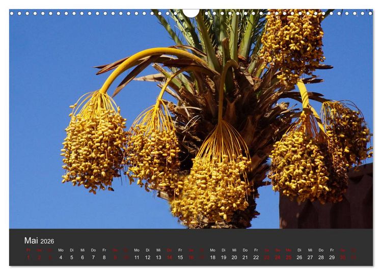 Produktbild: Marokko im Farbenrausch (Wandkalender 2026 DIN A3 quer), CALVENDO Monatskalender