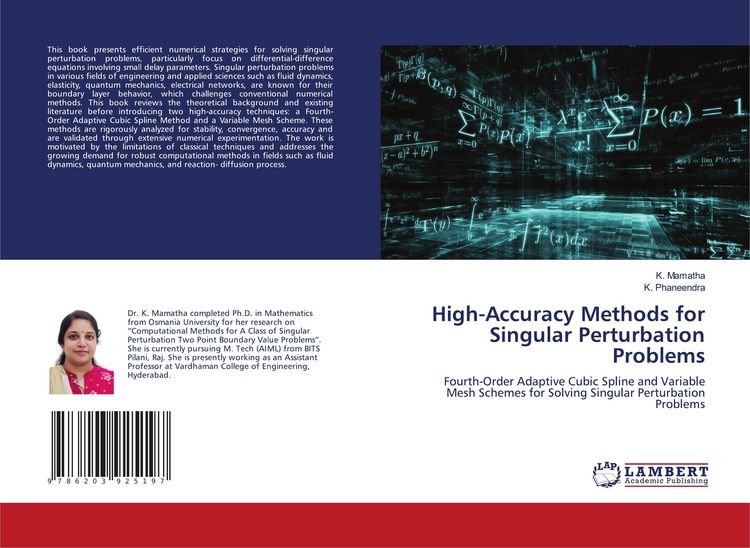 Produktbild: High-Accuracy Methods for Singular Perturbation Problems