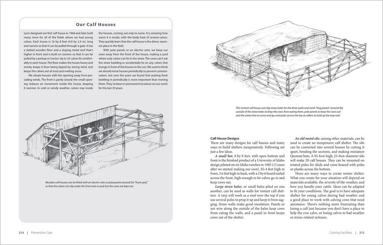 Produktbild: Essential Guide to Calving
