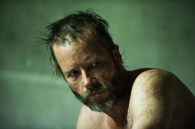 Produktbild: The Rover
